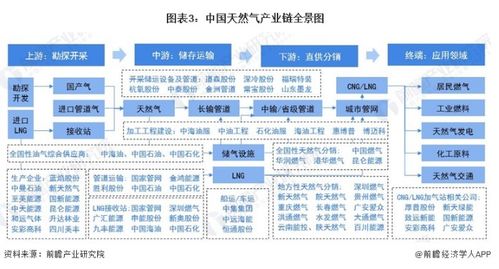 马永生院士 天然气是中国能源转型最现实的选择