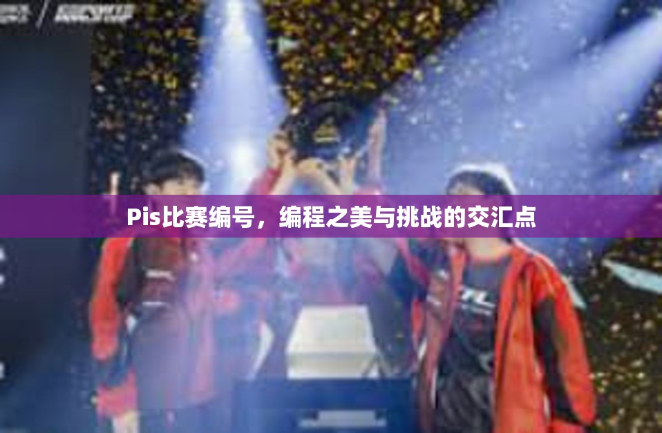 Pis比赛编号，编程之美与挑战的交汇点