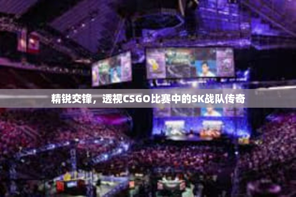 精锐交锋，透视CSGO比赛中的SK战队传奇