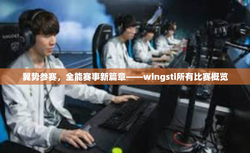 翼势参赛，全能赛事新篇章——wingsti所有比赛概览