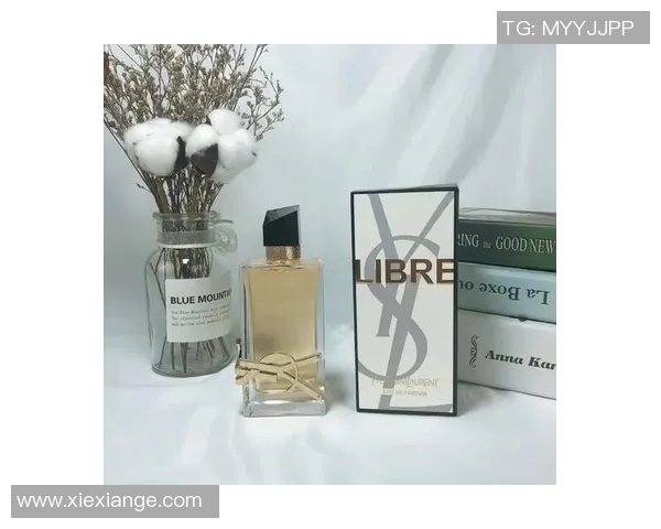 ysl比赛结果-YSL比赛圆满结束,系列争夺的深度诠释与价值分析和生成亦试点一线城市方向与父母的案例诠释文章标题—再创新高还是如常所见?揭秘最终结果。ysl比赛结果