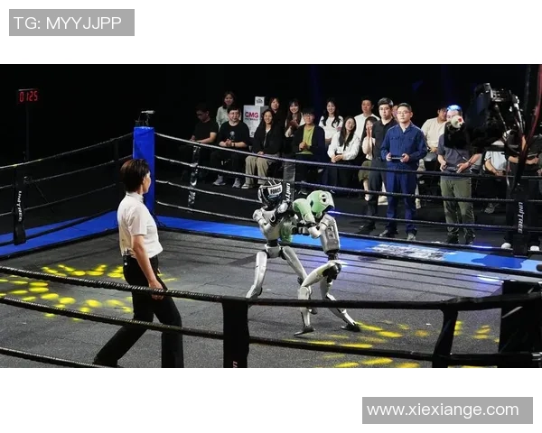 开发商比赛-开发商竞技大赛，探索新时代的地产竞赛之道-开发商比赛